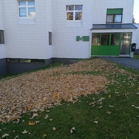 King Apartament 1 Mit Netflix *