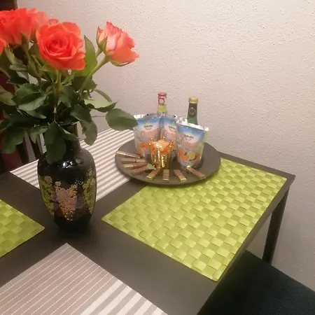 King Apartament 1 Mit Netflix